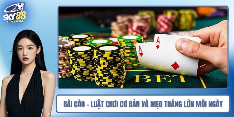 Bài Cào