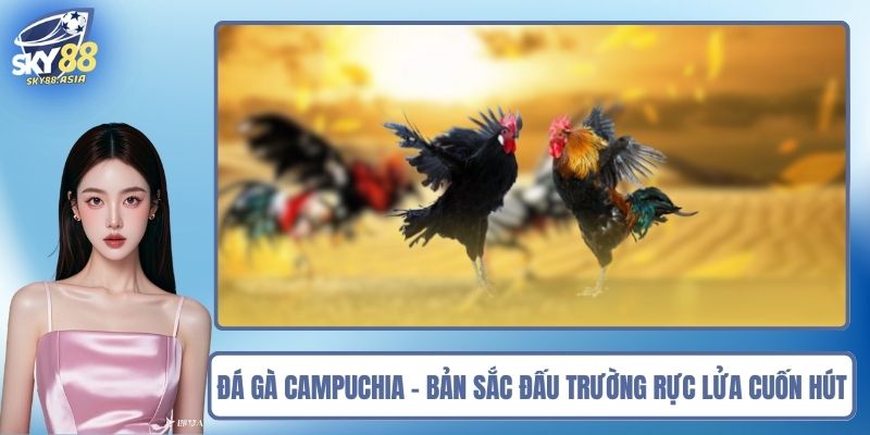 Đá Gà Campuchia