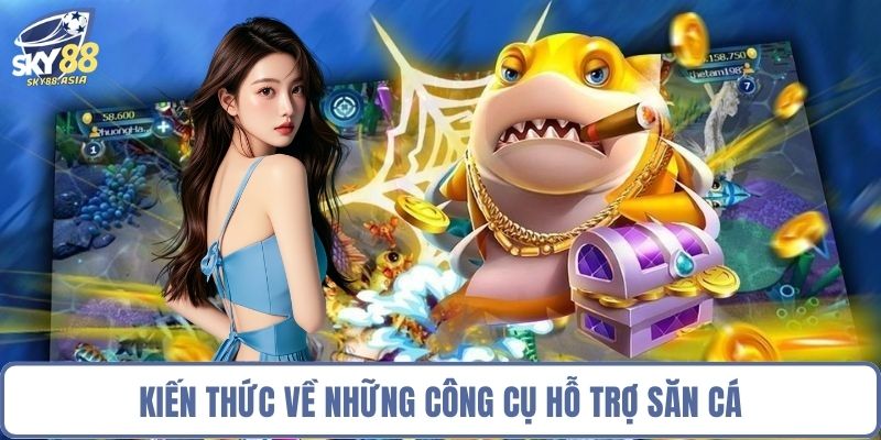 Kiến thức về những công cụ hỗ trợ săn cá