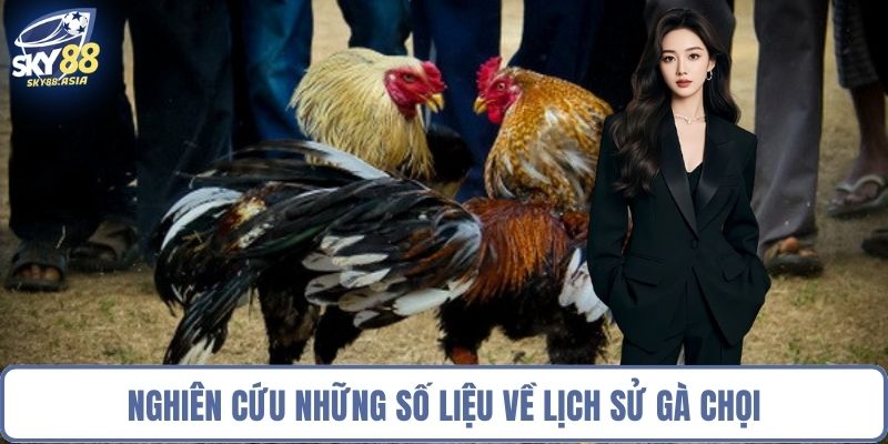 Nghiên cứu những số liệu về lịch sử gà chọi